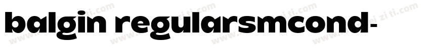 balgin regularsmcond字体转换